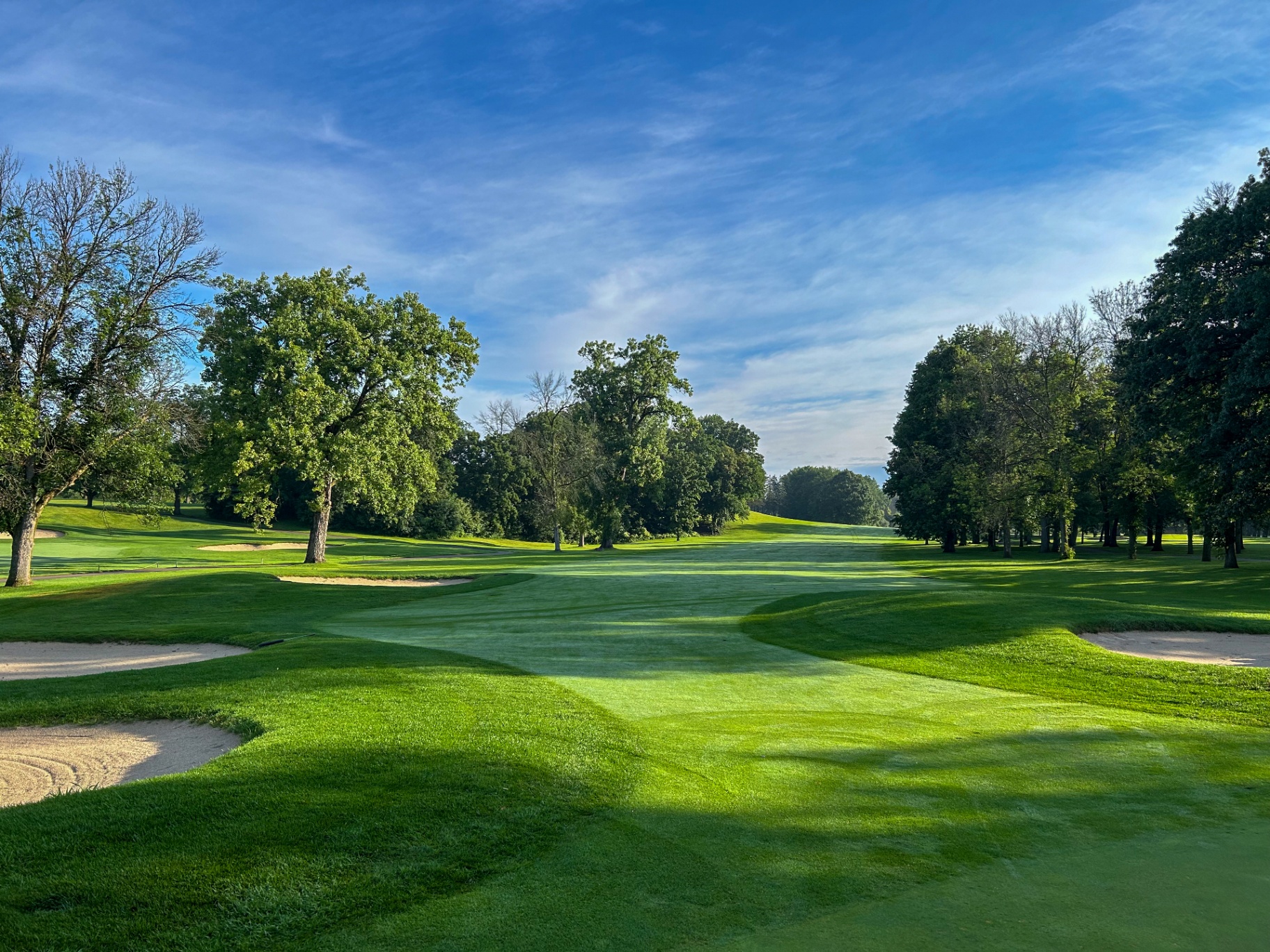 Tree-lined fairway in early morning light